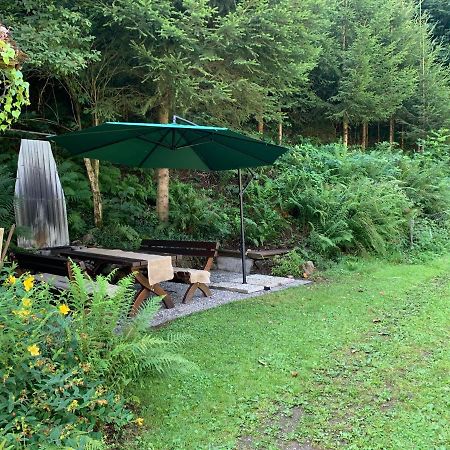 Hoernleberg - Stubenhof, Black Forest 西蒙斯瓦尔德 外观 照片