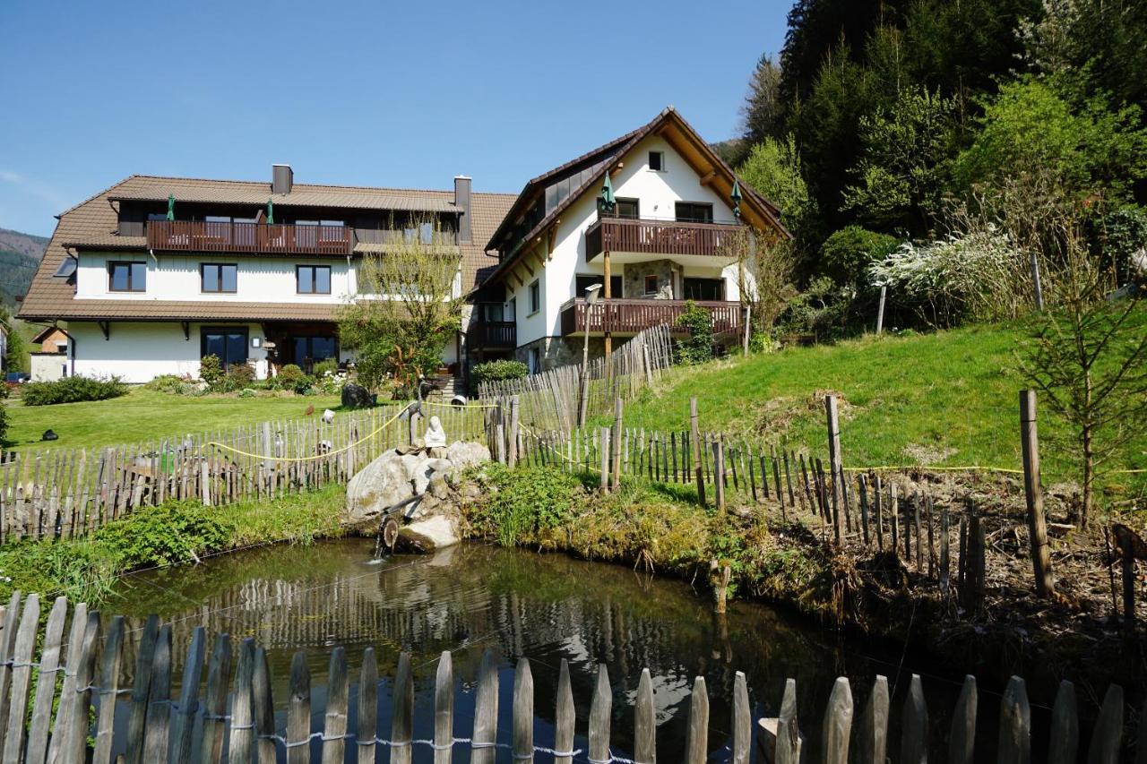Hoernleberg - Stubenhof, Black Forest 西蒙斯瓦尔德 外观 照片