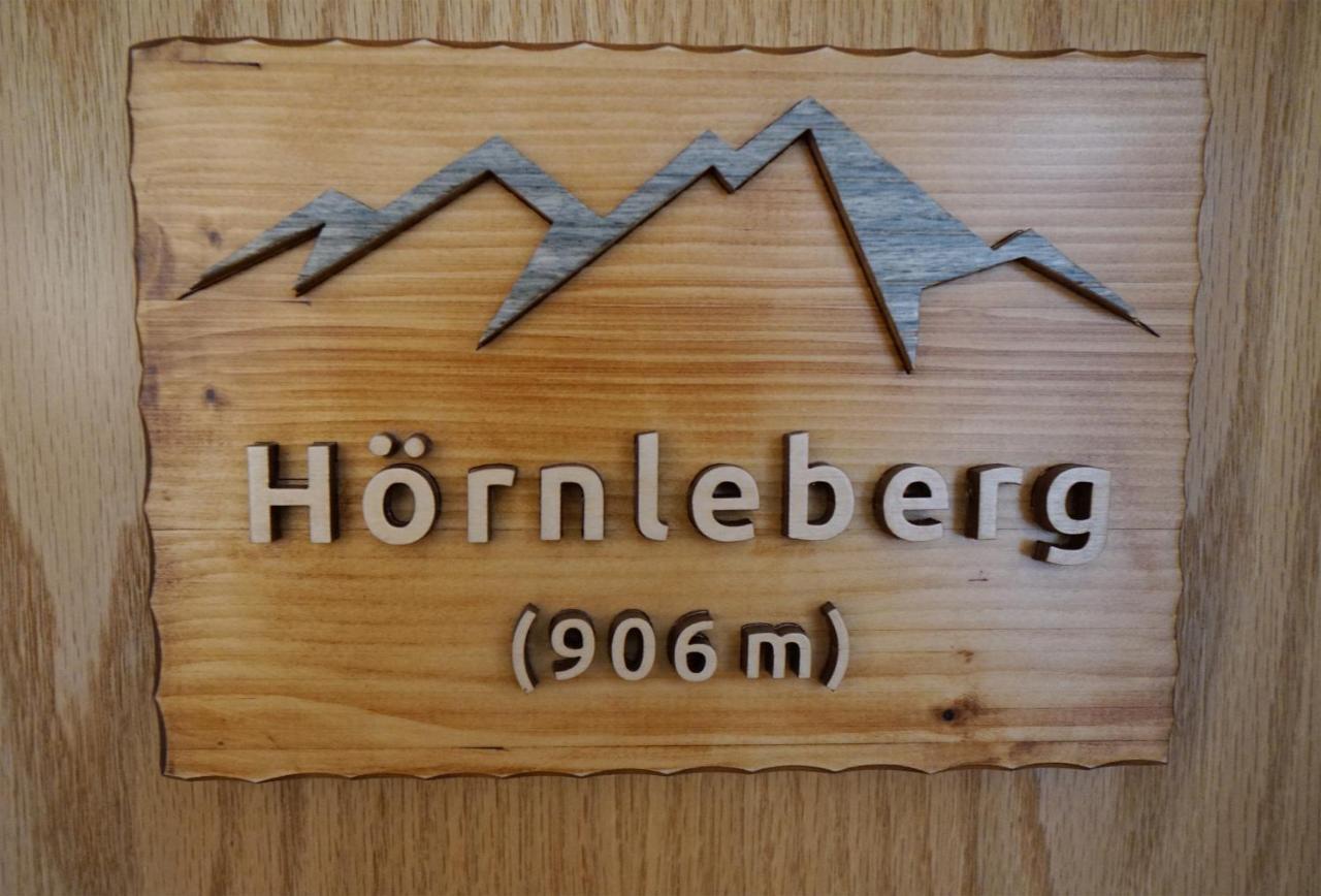 Hoernleberg - Stubenhof, Black Forest 西蒙斯瓦尔德 外观 照片
