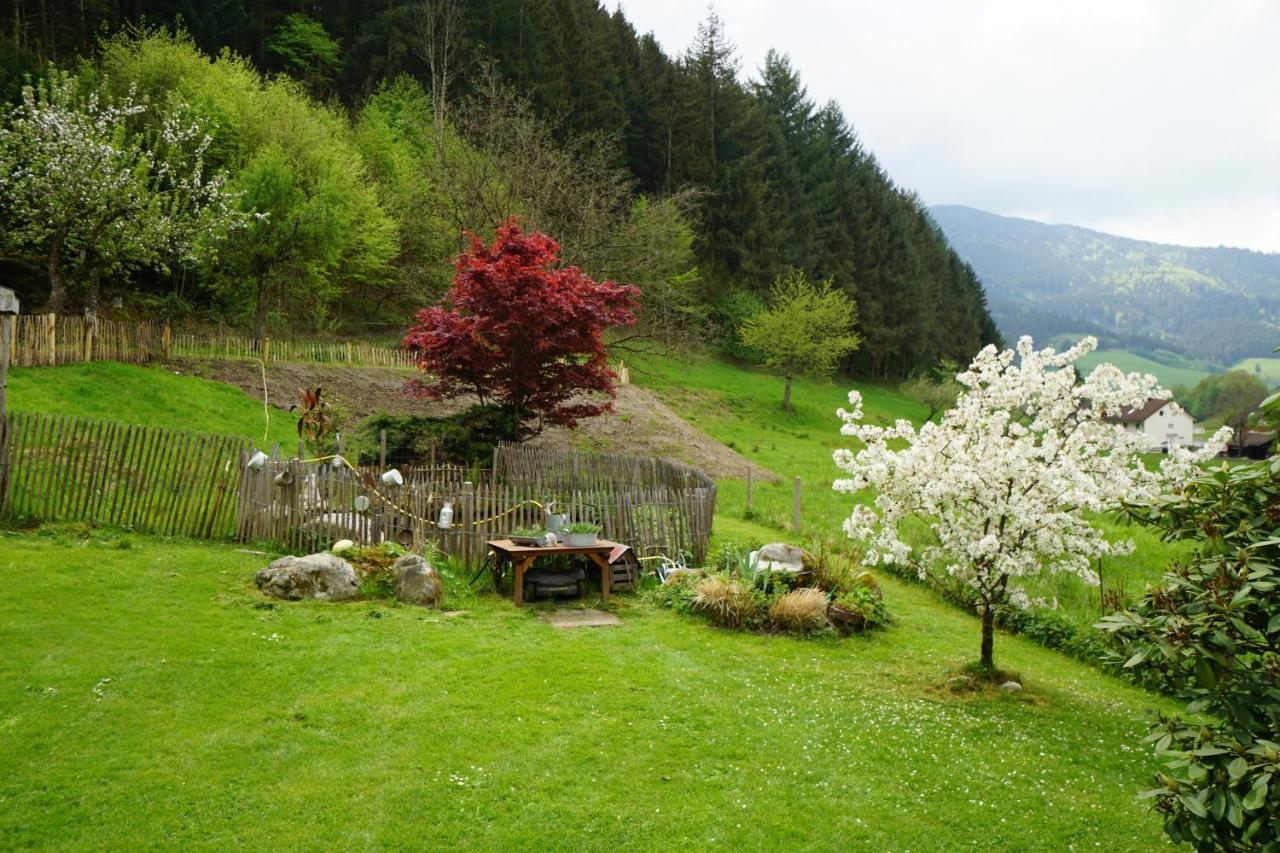 Hoernleberg - Stubenhof, Black Forest 西蒙斯瓦尔德 外观 照片